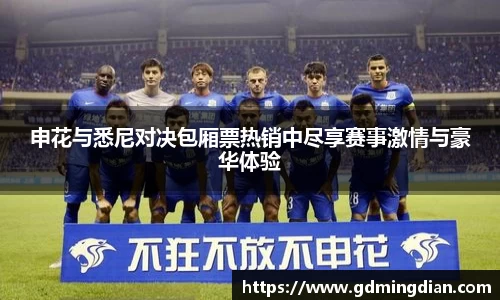 申花与悉尼对决包厢票热销中尽享赛事激情与豪华体验
